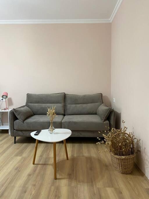 Mimosa'S Apartment With Lovely Balcony Tirana Exterior foto
